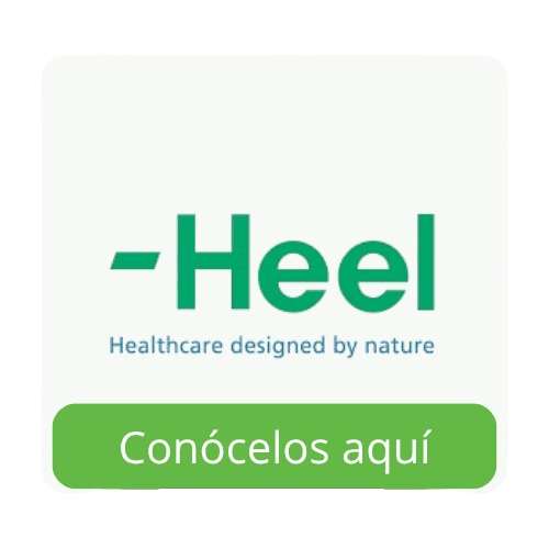Heel