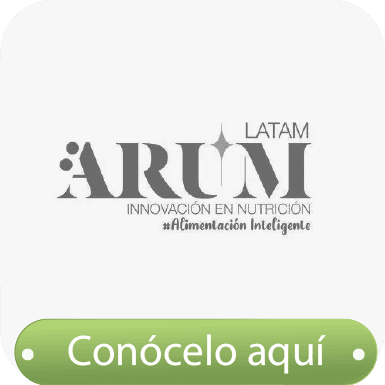 arum