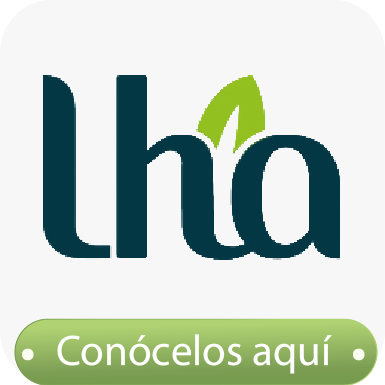 landing_LOGOS_MARCAS_MES_4_1.png